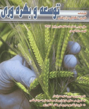 توسعه و بهره وری