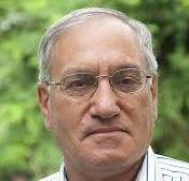 سید بیوک محمدی